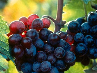 Η μέση μου…